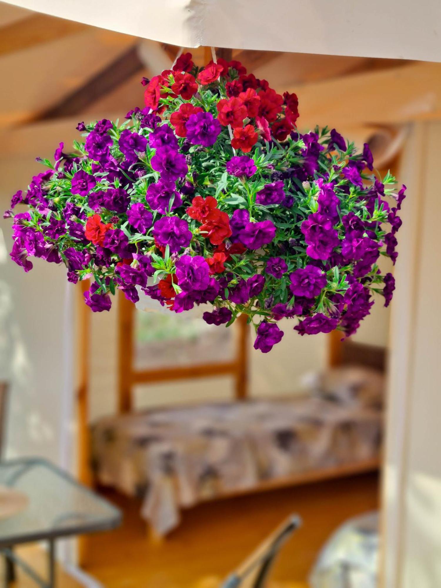 Camping Saint George Топола Екстериор снимка